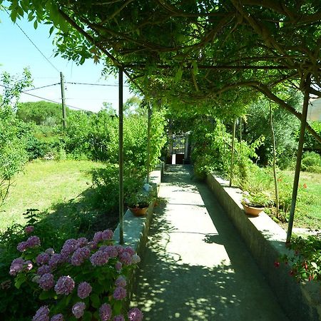 Apartment Renata Veli Lošinj Exteriör bild